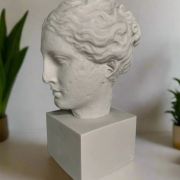 Bonded marble gift bust of Greek Goddess of Hygeia, goddess of health and well-being